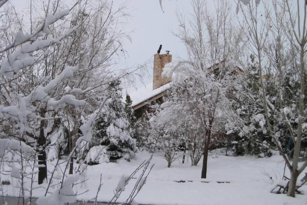 Casa En El Campo Con Encanto 알만사 외부 사진