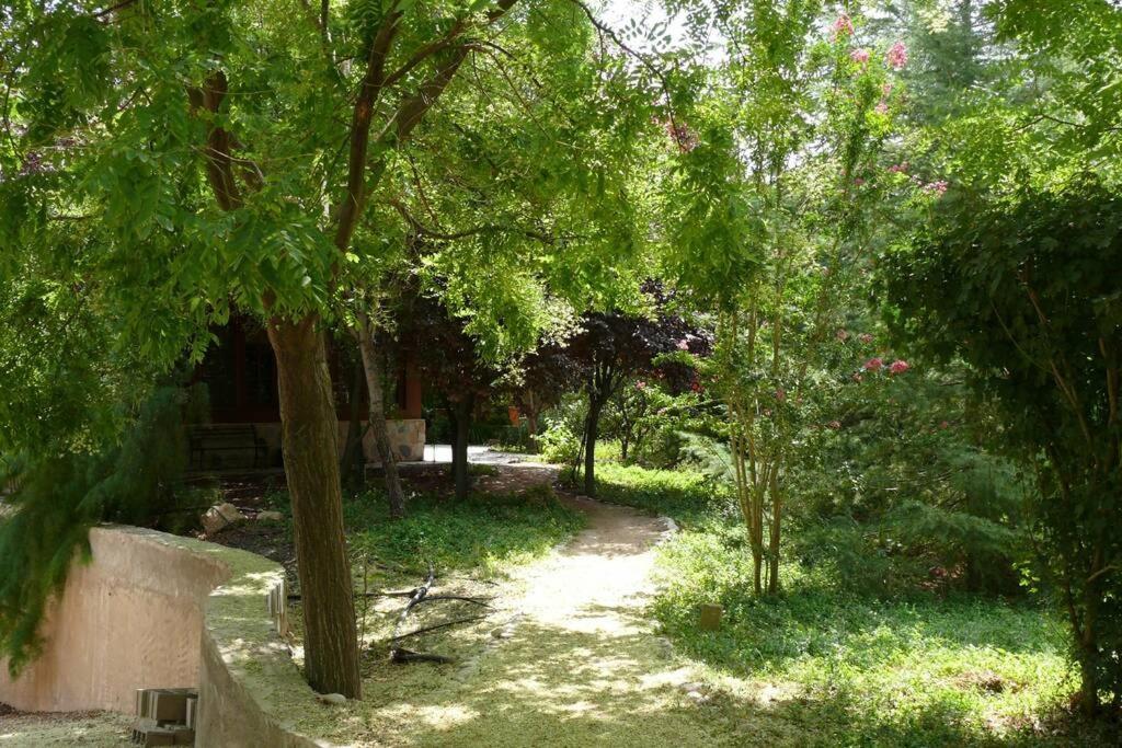 Casa En El Campo Con Encanto 알만사 외부 사진
