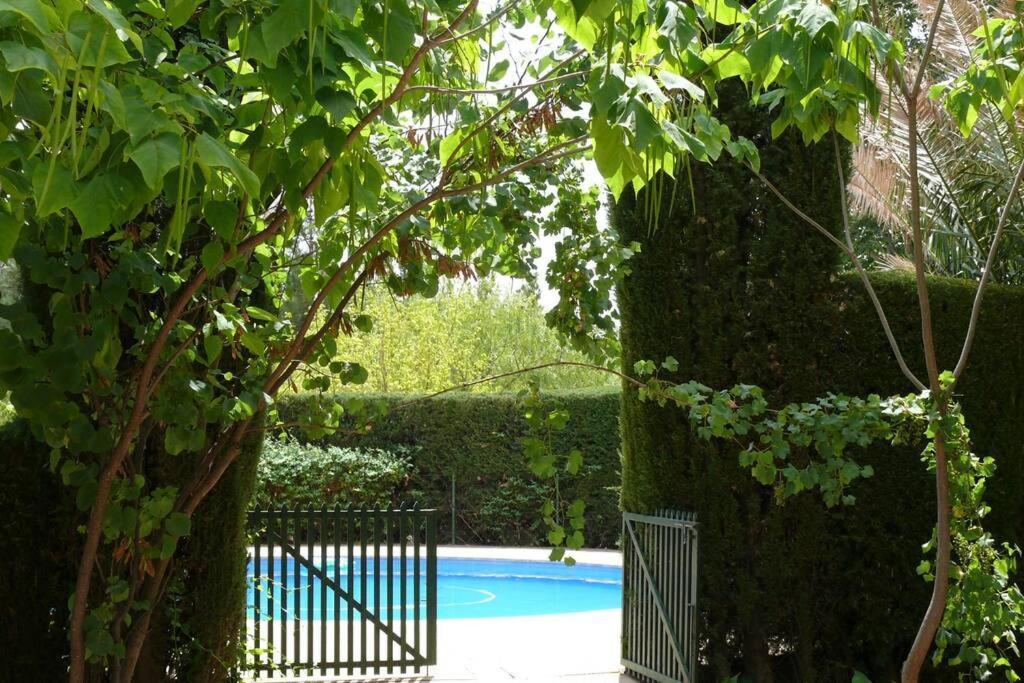 Casa En El Campo Con Encanto 알만사 외부 사진
