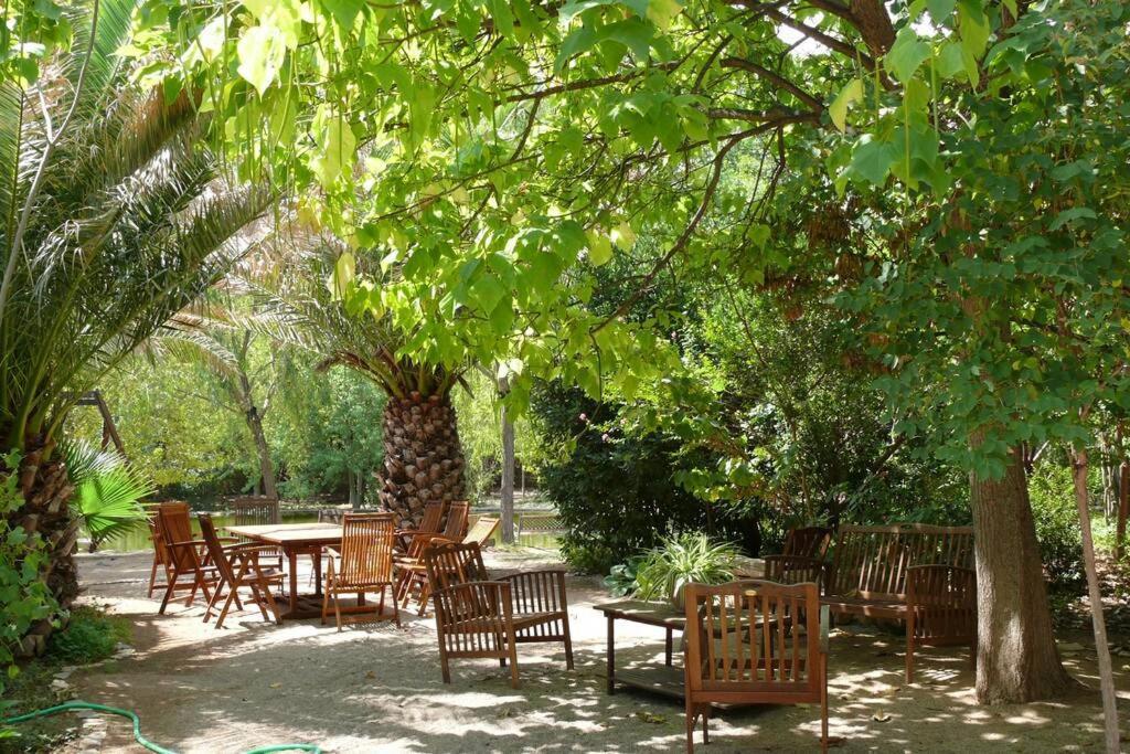 Casa En El Campo Con Encanto 알만사 외부 사진